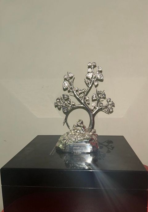 Global Storyteller Award